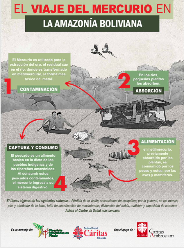 Poster attività di divulgazione sui danni causati dal mercurio